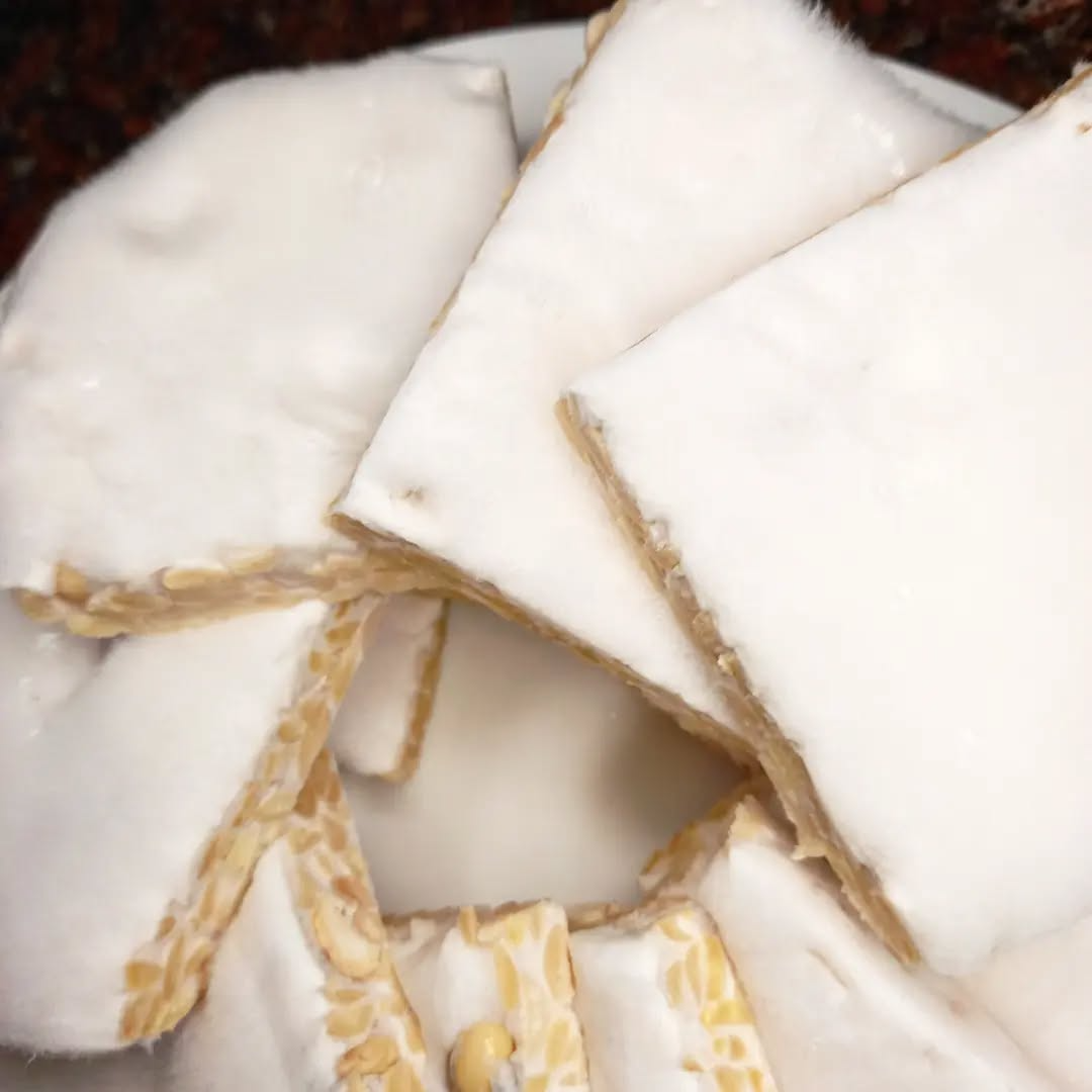 Sliced seasoned tempeh ready for cooking - Chef Bakiel ingredient
