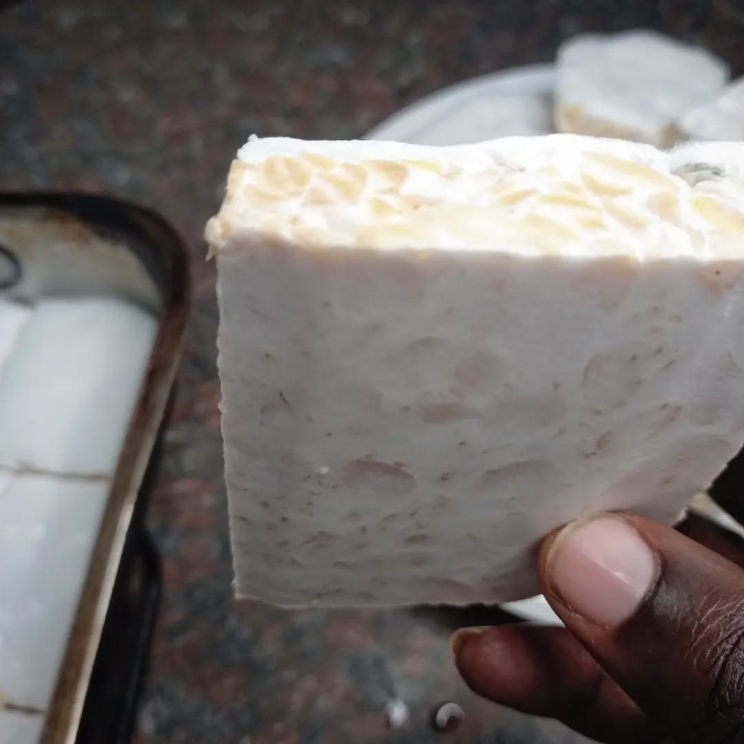 Hand holding a block of fresh tempeh - Ingredient used by Chef Bakiel